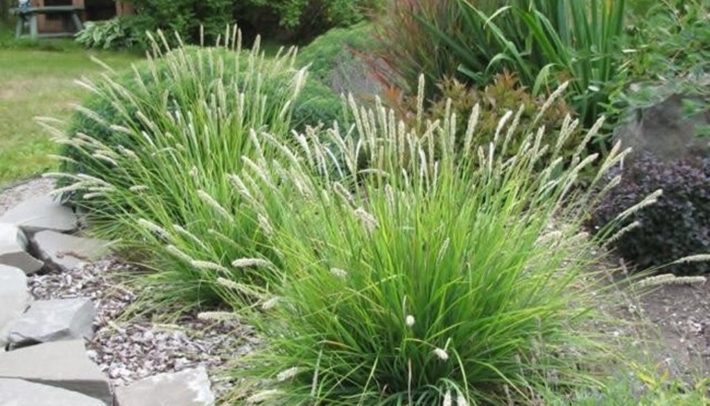 Centrum Ogrodnicze Sequoia