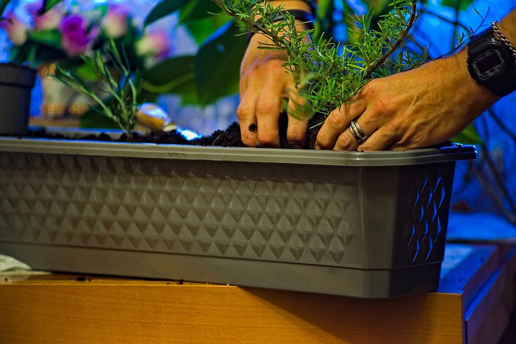 Jak stworzyć ogród ziołowy na balkonie – krok po kroku